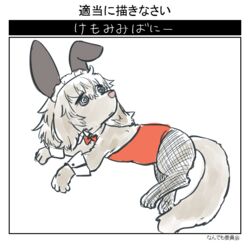  2019 after_transformation alternate_species bow_tie bunny_costume canid canine canis clothing costume ctog cuffs_(clothing) dachshund domestic_dog fake_ears fake_rabbit_ears female feral floppy_ears fur furrification futaba_channel grey_body grey_fur grey_hair hair hunting_dog japanese_text legwear maid_headdress mammal moroi-san nijiura_maids red_clothing solo stockings template text 