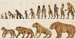  absurd_res ambiguous_gender anthro arena_(the_elder_scrolls) bethesda_game_studios cathay clothed clothing elder_scrolls_series felid feline feline_ears feral fur group height_comparison hi_res humanoid khajiit male mammal microsoft morrowind muscular oblivion pantherine partially_clothed semi-anthro skyrim slim stripes suthay-raht tall the_elder_scrolls the_elder_scrolls_online unknown_artist 