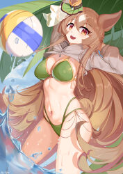  absurdres animal_ears ball beachball bikini blue_sky breasts brown_hair brown_hoodie cleavage commentary_request cowboy_shot cropped_hoodie ear_ornament female green_bikini hair_between_eyes highres hood hood_down hoodie horse_ears horse_girl horse_tail large_breasts long_hair long_sleeves looking_at_viewer multicolored_hair navel ocean open_mouth outdoors palm_leaf satono_diamond_(umamusume) sky smile solo stomach streaked_hair sweat swimsuit tail teeth umamusume upper_teeth_only very_long_hair water wet white_hair xg_epee yellow_eyes 