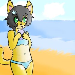  1:1 anthro beach beverage bikini black_hair catsikune catsikune_(character) clothed clothing crossdressing domestic_cat drinking felid feline felis fluffy fluffy_tail fur green_eyes hair juice_(disambiguation) looking_at_viewer male mammal navel panties seaside solo swimwear tail underwear yellow_body yellow_fur 