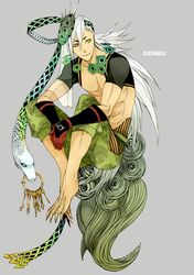  1boy artist_request four_holy_beasts genbu green_eyes key keys long_hair male male_focus mythology original simple_background snake solo white_hair 