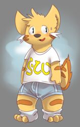  2018 anthro baguette_(smlieichii) blush boxer_briefs clothed clothing digital_media_(artwork) domestic_cat felid feline felis footwear fur gralicbutter grey_background japanese_text legwear lonelycharart male mammal shirt simple_background smile socks solo standing text topwear underwear 