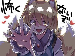  animal_ears blonde_hair female fourth_wall fox_ears fox_tail frills hammer_(sunset_beach) highres long_sleeves looking_at_viewer multiple_tails reaching reaching_towards_viewer shadowed sleeves_past_wrists solo tail touhou translated yakumo_ran yellow_eyes yellow_tail you_gonna_get_raped 