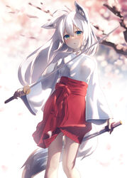  :o absurdres ahoge animal_ear_fluff animal_ears blurry blurry_background blush braid breasts cherry_blossoms commentary_request earrings female fox_ears fox_girl fox_tail green_eyes hair_between_eyes highres holding holding_sheath holding_sword holding_weapon hololive japanese_clothes jewelry katana long_hair looking_at_viewer miko pentagram red_skirt sheath shirai_yu shirakami_fubuki shirt sidelocks single_braid skirt small_breasts solo sword tail virtual_youtuber weapon white_hair white_shirt 