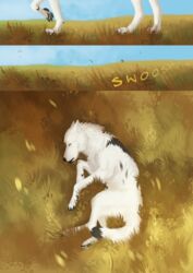  2020 4_toes ambiguous_gender black_nose canid canine canis day detailed_background digital_media_(artwork) feet feral fur grass mammal oneminutesketch outside paws plant sky solo toes white_body white_fur wolf 