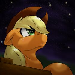  1:1 2015 applejack_(mlp) behind-space blonde_hair clothing cowboy_hat earth_pony equid equine female fence feral freckles friendship_is_magic fur green_eyes hair hair_over_eye hasbro hat headgear headwear horse mammal my_little_pony one_eye_obstructed orange_body orange_fur outside pony solo star stargazing 