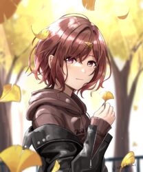  autumn_leaves blurry blurry_background brown_eyes brown_hair commentary_request female ginkgo_leaf hair_ornament hairclip highres higuchi_madoka holding holding_leaf hood hoodie idolmaster idolmaster_shiny_colors jacket junshiki leaf looking_at_viewer mole mole_on_cheek outdoors short_hair signature solo tree 