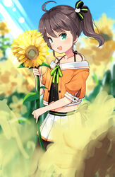  :d ahoge blush brown_hair female field flower flower_field green_eyes green_neckwear green_ribbons hair_ribbon holding holding_flower hololive hota jacket light_rays looking_at_viewer medium_hair miniskirt natsuiro_matsuri natsuiro_matsuri_(1st_costume) neck_ribbon one_side_up open_mouth orange_jacket outdoors pantyhose pleated_skirt puffy_short_sleeves puffy_sleeves ribbon round_teeth short_sleeves skirt smile solo standing sunflower sunflower_field teeth upper_teeth_only virtual_youtuber white_skirt 