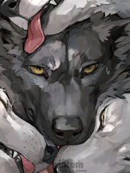  2025 ambiguous_form ambiguous_gender artist_name black_body black_ears black_fur black_inner_ear_fluff black_nose bodily_fluids canid canine canine_nose canine_teeth canis cheek_tuft digital_media_(artwork) face_lick facial_tuft fluffy fur group inner_ear_fluff licking looking_at_viewer mammal monotone_body monotone_fur overbite pink_tongue pointy_ears prick_ears snout sweat sweatdrop teeth text tongue tongue_out tuft white_body white_fur wintom wolf yellow_eyes 