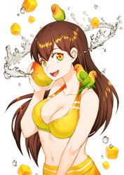  :d aesice bad_id bad_pixiv_id bikini bikini_skirt bird breasts cleavage commentary_request female gradient_eyes highres large_breasts lovebird mango multicolored_eyes navel oerba_yun_fang open_mouth original parrot personification smile solo stomach swimsuit water water_drop yellow_bikini 