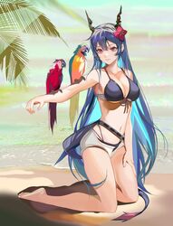  absurdres animal_on_arm arknights bare_arms bare_legs bare_shoulders barefoot beach bikini bird bird_on_arm black_bikini blue-and-yellow_macaw blue_hair breasts ch&#039;en_(arknights) ch&#039;en_the_holungday_(arknights) ch&#039;en_the_holungday_(elite_ii)_(arknights) chinese_commentary cleavage collarbone commentary_request dragon_horns female flower front-tie_bikini_top front-tie_top full_body hair_between_eyes hair_flower hair_ornament highres horns ken_(1057168252) kneeling large_breasts long_hair macaw navel official_alternate_costume open_fly outdoors parrot red_eyes red_flower scarlet_macaw short_shorts shorts smile solo stomach swimsuit thighs very_long_hair white_shorts 