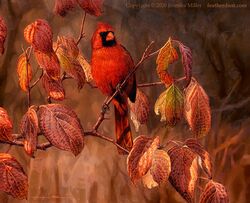  2020 ambiguous_gender avian beak bird cardinal_(bird) feral leaf nambroth northern_cardinal oil_painting_(artwork) oscine painting_(artwork) passerine plant realistic solo text traditional_media_(artwork) url 