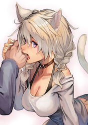  1boy animal_ears bare_shoulders biting biting_another&#039;s_hand black_bra bra braid breasts cat_day cat_ears cat_girl cat_tail choker cleavage clothing_cutout collar collarbone fangs fangs_out female fur grey_hair hinoru_saikusa large_breasts leaning_forward long_sleeves medium_hair original purple_eyes shoulder_strap slit_pupils tail twin_braids underwear 