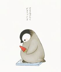  animal_focus ayu_(mog) baby_penguin bathroom_scale bird blush commentary emperor_penguin food from_side holding original penguin popsicle signature simple_background translated watermelon_bar weighing_scale weight_conscious white_background 