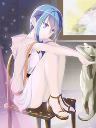  animal bare_legs blue_eyes blue_hair chair commentary_request eye_contact female hai_to_gensou_no_grimgar hair_over_shoulder highres holding holding_animal hood hoodie jacket jacket_on_shoulders kakari knees_up long_hair looking_at_another low_ponytail merry_(grimgar) parted_lips petals sandals sidelocks sitting smile solo tunic 