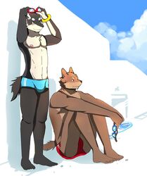  anthro beach bearlovestiger13 black_nose blue_body blue_eyes blue_fur brown_body brown_fur canid canine canis clothing countershading domestic_dog duo fur husky kuugo_(lagoon_lounge) lagoon_lounge male mammal nordic_sled_dog outside red_eyes seaside spitz swimwear wolf yuujirou_urushi 