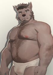  2023 absurd_res anthro arm_hair barazoku beard belly_hair biceps body_hair briefs briefs_only brown_hair canid canine chest_hair clothed clothing deltoids facial_hair forearm_hair forearms green_eyes hair happy_trail hi_res looking_at_viewer male mammal manly mature_male musclegut muscular navel nipples pecs samuorebuqi simple_background solo standing tighty_whities topless underwear underwear_only white_background white_briefs white_clothing white_underwear 