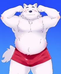  2014 5:6 anthro belly black_nose bottomwear canid canine canis closed_eyes clothing domestic_dog fur humanoid_hands kemono launcher_r male mammal nipples overweight overweight_anthro overweight_male shorts solo white_body white_fur 