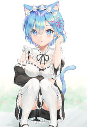  :o animal_ears ass black_footwear blue_eyes blue_hair blush breasts cat_ears cat_tail cleavage clothes_between_thighs commentary detached_sleeves dress female frills hair_ornament hair_over_one_eye hair_ribbon kemonomimi_mode looking_at_viewer maid maid_headdress medium_breasts open_mouth panties panty_peek pink_ribbon re:zero_kara_hajimeru_isekai_seikatsu rem_(re:zero) ribbon roswaal_mansion_maid_uniform shoes short_hair solo squatting tail thighhighs underwear white_thighhighs x_hair_ornament yoru_usagi 