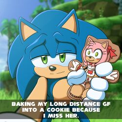  1:1 5_fingers amy_rose anthro baking_my_long_distance_bf_into_a_cookie_because_i_miss_him biped cookie countershade_face countershade_torso countershading english_text eulipotyphlan fingers food green_eyes hedgehog hi_res hyoumaru male mammal meme plant sega solo sonic_the_hedgehog sonic_the_hedgehog_(series) text tree 