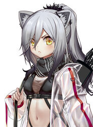  absurdres animal_ear_fluff animal_ears arknights black_scarf blush breasts cat_ears commentary crop_top earrings female grey_hair hair_between_eyes highres jacket jewelry long_hair long_sleeves looking_at_viewer medium_breasts midriff navel open_clothes open_jacket quiver scarf schwarz_(arknights) see-through simple_background solo stomach upper_body v-shaped_eyebrows white_background white_jacket yellow_eyes yizhirenben 