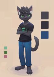  2020 anthro ashram_(dxashram) black_body black_fur bottomwear clothed clothing crossed_arms denim denim_bottomwear denim_clothing domestic_cat elodoart eyewear felid feline felis fur glasses green_eyes hi_res jeans male mammal model_sheet pants shirt solo standing topwear 