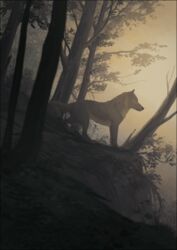  2021 ambiguous_gender black_border border canid canine canis detailed_background digital_media_(artwork) feral forest grass mammal oneminutesketch outside plant solo standing tree wolf 