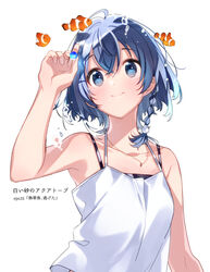  blue_eyes blue_hair braid closed_mouth clownfish commentary_request dark_blue_hair female fish highres jewelry light_blush misakino_kukuru necklace promotional_art shell_hair_ornament shiroi_suna_no_aquatope short_hair single_braid smile solo tank_top tropical_fish u35 upper_body white_tank_top 