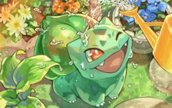  ;d blue_flower bright_pupils bulbasaur claws commentary_request day fangs flower flower_pot grass looking_up no_humans one_eye_closed open_mouth orange_eyes orange_flower outdoors pokemon pokemon_(creature) smile tapioka_chaso tongue water water_drop watering_can white_flower white_pupils 