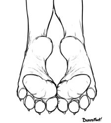  4_toes ambiguous_gender bunnyfeet canid canine claws feet foot_focus foot_shot humanoid_feet mammal monochrome pawpads plantigrade soles solo toe_claws toes 