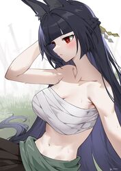  animal_ears bandages bandeau bare_arms bare_shoulders black_hair blunt_bangs blush breasts chest_sarashi cleavage female grass green_sash highres hoshimi_miyabi large_breasts linreplica long_hair midriff navel parted_lips red_eyes sarashi sash solo stomach strapless tube_top upper_body very_long_hair zenless_zone_zero 