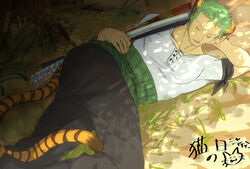  1boy animal_ears closed_eyes dappled_sunlight grass green_hair haramaki lying male_focus nekome3 on_side one_piece roronoa_zoro sheath sheathed short_sleeves solo sunlight sword tail tiger_boy tiger_ears tiger_tail weapon 