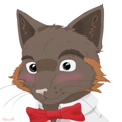  2024 anthro big_eyes black_eyes blush bow_tie brown_body brown_fur cheek_tuft clothed clothing colored digital_drawing_(artwork) digital_media_(artwork) domestic_cat ears_up eyebrows facial_markings facial_tuft felid feline felis fluffy fluffy_ears front_view fur head_markings hyacinth1971 male mammal markings meowrice_(hyacinth1971) orange_body orange_fur pink_nose shaded shy signature simple_background solo thick_eyebrows tuft whisker_spots whiskers white_background 