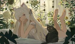  :3 animal animal_ears bare_legs barefoot black_ribbon blonde_hair blush closed_mouth commentary commentary_request curtains dot_nose dress feet_up feline female full_body hair_ribbon hands_on_own_face highres indoors kgt_(pixiv12957613) lion_ears lion_girl long_hair looking_at_viewer lying on_stomach one_eye_closed original plant potted_plant purple_eyes ribbon scenery sleeveless sleeveless_dress soles solo sunlight swept_bangs the_pose toes white_dress window 