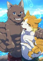  absurd_res akagi_daichi_(shared_house) akashi_zento_(shared_house) anthro beach canid canine canis clothing domestic_cat domestic_dog duo felid feline felis gesture hand_gesture hand_over_shoulder hi_na_ga hi_res male male/male mammal picture_taking swimming_trunks swimwear v_sign 