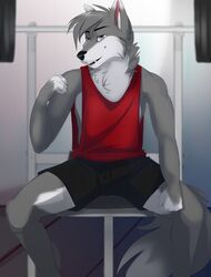  anthro biped bottomwear canid canine canis clothed clothing fangs fur hi_res kittentits looking_at_viewer male mammal open_mouth shirt shorts sitting smile solo tank_top teeth topwear wolf 