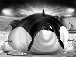  4:3 ambiguous_gender bodily_noises cetacean cracking different_sound_effects dolphin feral greyscale hi_res inflation mammal marine meanybeany monochrome morbidly_obese obese oceanic_dolphin onomatopoeia orca overweight resting_on_belly rumbling_stomach solo sound_effects text toothed_whale water 