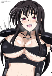  black_hair breasts cleavage female high_school_dxd large_breasts long_hair purple_eyes raynare underboob 