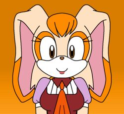  anthro brown_eyes clothing darkshadow female lagomorph leporid looking_at_viewer mammal mature_anthro mature_female rabbit sega simple_background smile solo sonic_the_hedgehog_(series) vanilla_the_rabbit 