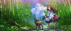  animal animal_ears bamboo bamboo_forest barefoot brown_hair commentary_request dress female forest imaizumi_kagerou nature outdoors scenery tail touhou wasabichan wolf_ears wolf_tail 