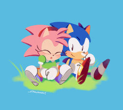  2019 amy_rose anthro black_eyes blue_background blue_body blue_fur bottomwear classic_amy_rose classic_sonic classic_sonic_(universe) closed_eyes clothed clothing duo eulipotyphlan female footwear fur gloves grass green_clothing green_shirt green_topwear handwear hedgehog male male/female mammal orange_bottomwear orange_clothing orange_skirt pink_body pink_fur plant sega shirt shoes simple_background sitting skirt smallpanda smile sonic_the_hedgehog sonic_the_hedgehog_(series) topwear 