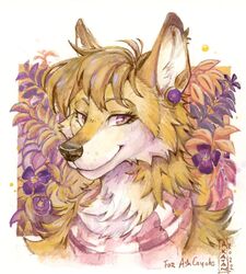  2022 akatan_art anthro ashcoyote black_nose brown_hair canid canine canis cheek_tuft chest_tuft closed_smile countershading coyote dated ear_piercing eyelashes facial_tuft female floral_background flower fur glistening glistening_nose hair hi_res mammal mouth_closed multicolored_eyes neck_tuft piercing pink_eyes plant purple_flower signature smile solo traditional_media_(artwork) tuft two_tone_eyes white_body white_fur yellow_body yellow_eyes yellow_fur 