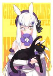  animal animal_ears bare_shoulders black_cat breasts character_name commentary_request copyright_name dress feline female frilled_dress frills girls&#039;_frontline green_eyes hair_ornament hat highres hk416_(girls&#039;_frontline) hk416_(herbal-flavored_hard_candy)_(girls&#039;_frontline) holding holding_animal holding_cat korean_commentary large_breasts long_hair looking_down official_alternate_costume pinkboy rabbit_ears sidelocks solo upper_body very_long_hair white_dress white_hair yellow_background 