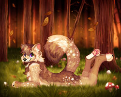  2021 5:4 anthro autumn autumn_leaves black_nose brown_body brown_fur brown_hair brown_tail canid canine countershade_torso countershading falling_leaves fluffy fluffy_tail forest forest_background fox fungus fur grass hair kovied light looking_at_viewer lying male mammal mushroom mushroom_cap nature nature_background on_front pawpads paws pink_ears pink_pawpads plant prick_ears short_hair smile smiling_at_viewer snout solo spots sunlight tail tree white_body white_fur white_spots white_spotted_fur white_toes 