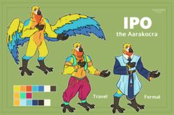  aarakocra_(dnd) absurd_res avian bird color_swatch dungeons_and_dragons english_text fan_character hasbro hi_res ipo_(bludhavenbird) kiwyne macaw model_sheet neotropical_parrot parrot solo text true_parrot wizards_of_the_coast 