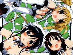  3girls :o alligator bare_shoulders black_hair blonde_hair blue_eyes blush breasts brown_hair cleavage crocodilian detached_collar elbow_gloves gloves kore_ga_watashi_no_goshujin-sama kurauchi_anna large_breasts long_hair looking_at_viewer maid maid_headdress multiple_girls nakabayashi_yoshitaka&#039;s_maid_uniform non-web_source official_art open_mouth pochi_(kore_ga_watashi_no_goshujin-sama) sawatari_izumi sawatari_mitsuki short_hair small_breasts spaghetti_strap white_gloves yellow_eyes 