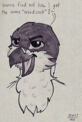  10art1 absurd_res accipiter accipitrid accipitriform anthro avian avian_feet beak bird cheek_markings eurasian_sparrowhawk facial_markings head_markings hi_res lief_woodcock male markings open_mouth portrait solo true_hawk 