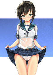  black_hair blue_sailor_collar blue_skirt blush closed_mouth clothes_lift collarbone cowboy_shot female fubuki_(kancolle) green_eyes hair_between_eyes highres kantai_collection lifting_own_clothes panties pleated_skirt sailor_collar school_uniform see-through serafuku short_hair short_ponytail short_sleeves skirt skirt_lift solo underwear unomi wet wet_clothes white_panties 