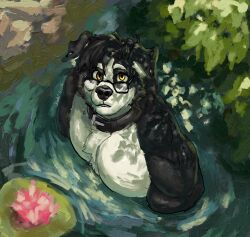  anthro black_body black_collar black_eyewear black_fur black_glasses black_hair black_nose border_collie canid canine canis collar collie domestic_dog eyewear fur glasses hair herding_dog limbo6_6 limbo_(limbo6_6) male mammal oil_painting_(artwork) painting_(artwork) pastoral_dog rock sheepdog solo traditional_media_(artwork) traditional_painting_(artwork) water yellow_eyes 