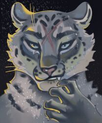  5:6 anthro black_background blue_eyes fangs felid feline fur grin headshot_portrait hi_res male mammal marks_on_body pantherine pink_nose portrait scar simple_background smile snow snow_leopard solo spots teeth teonocturnal 